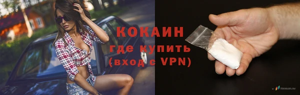 гашик Арсеньев